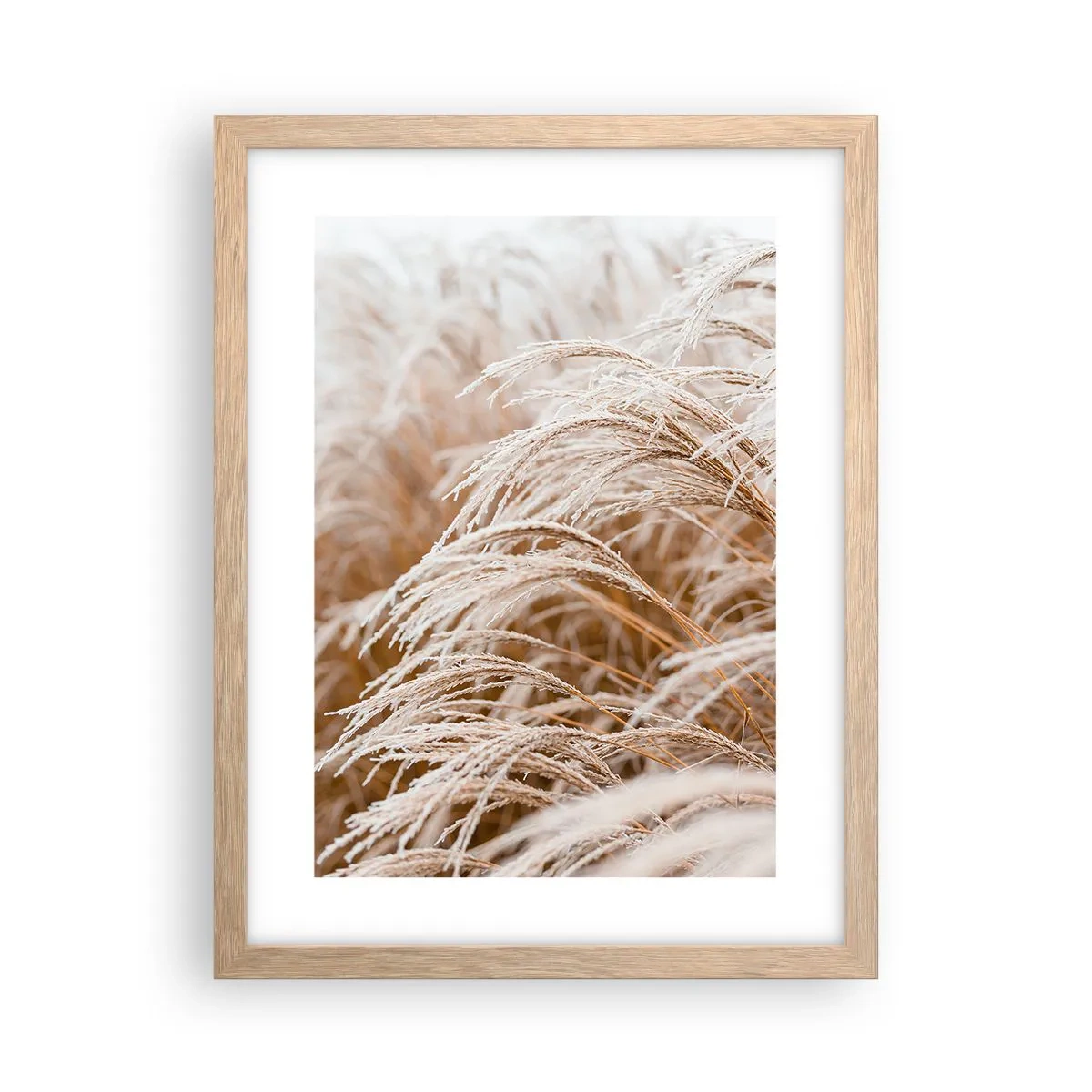 Plakat i ramme af lyst egetræ - Bøjer sig for efterårssolen - 30x40 cm