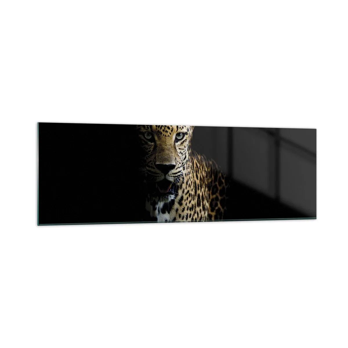 Billede på glas - Mørk skønhed - 160x50 cm