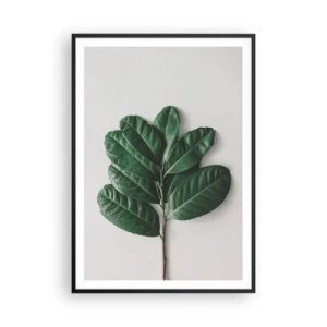 Plakat i sort ramme - Tegning af selve naturen - 70x100 cm