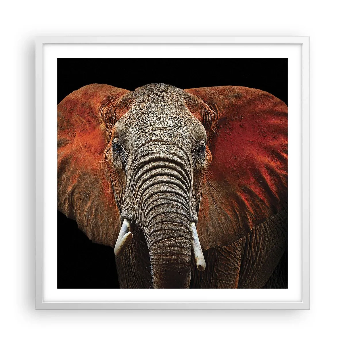 Plakat i hvid ramme - Jeg er vild, er du? - 60x60 cm