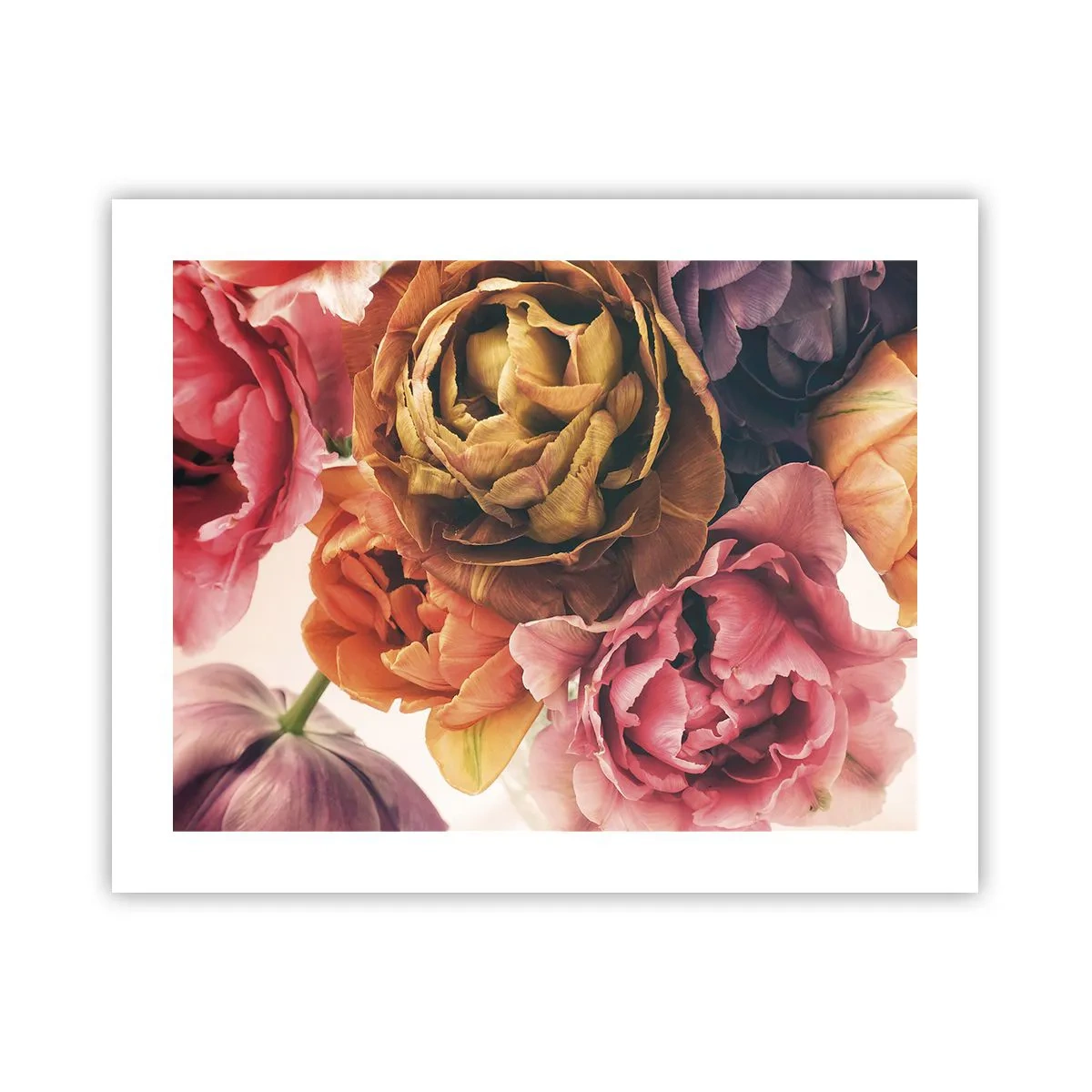 Plakat - Fejring af livet - 50x40 cm