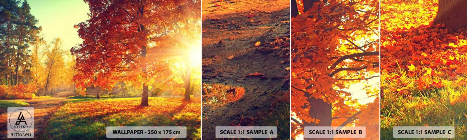 Fototapet Prøve Standard Eco - Rød er smuk - Landskab, Parkere, Natur - 100x30 cm