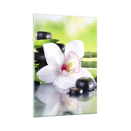 Billede på glas - Kølig friskhed - 80x120 cm