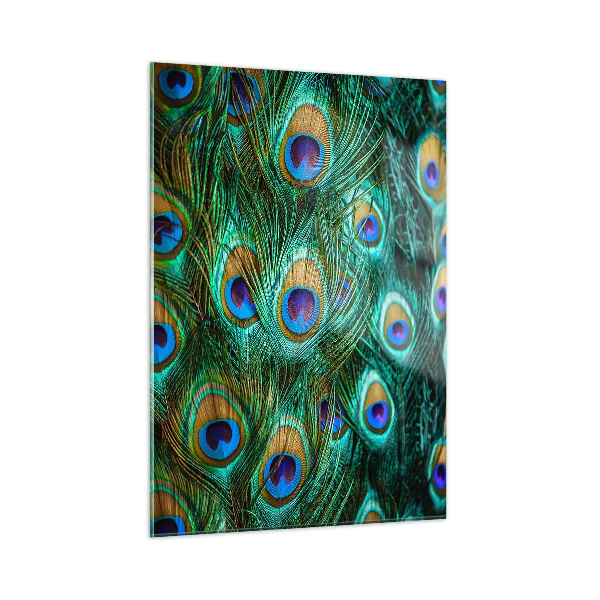 Billede på glas - En påfugls blik - 50x70 cm