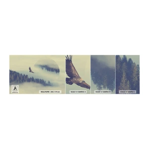 Prøve Fototapet Selvklæbende Deluxe Sticker - Jeg så en ørnes skygge - Ørn, Fugl, Skov - 100x30 cm