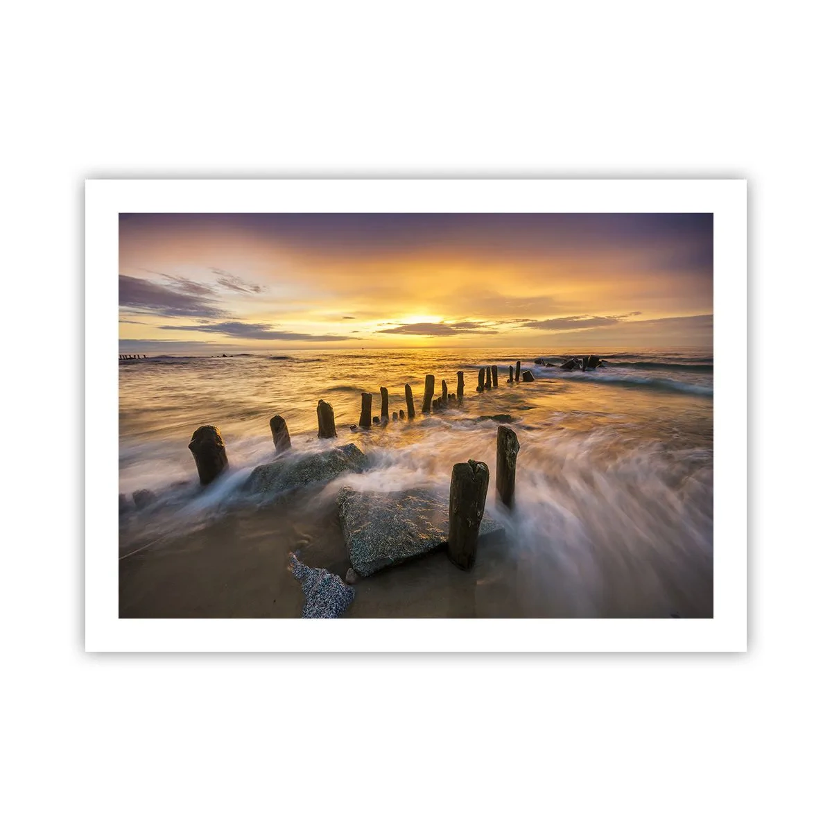 Plakat - Østersøens rå skønhed - 70x50 cm