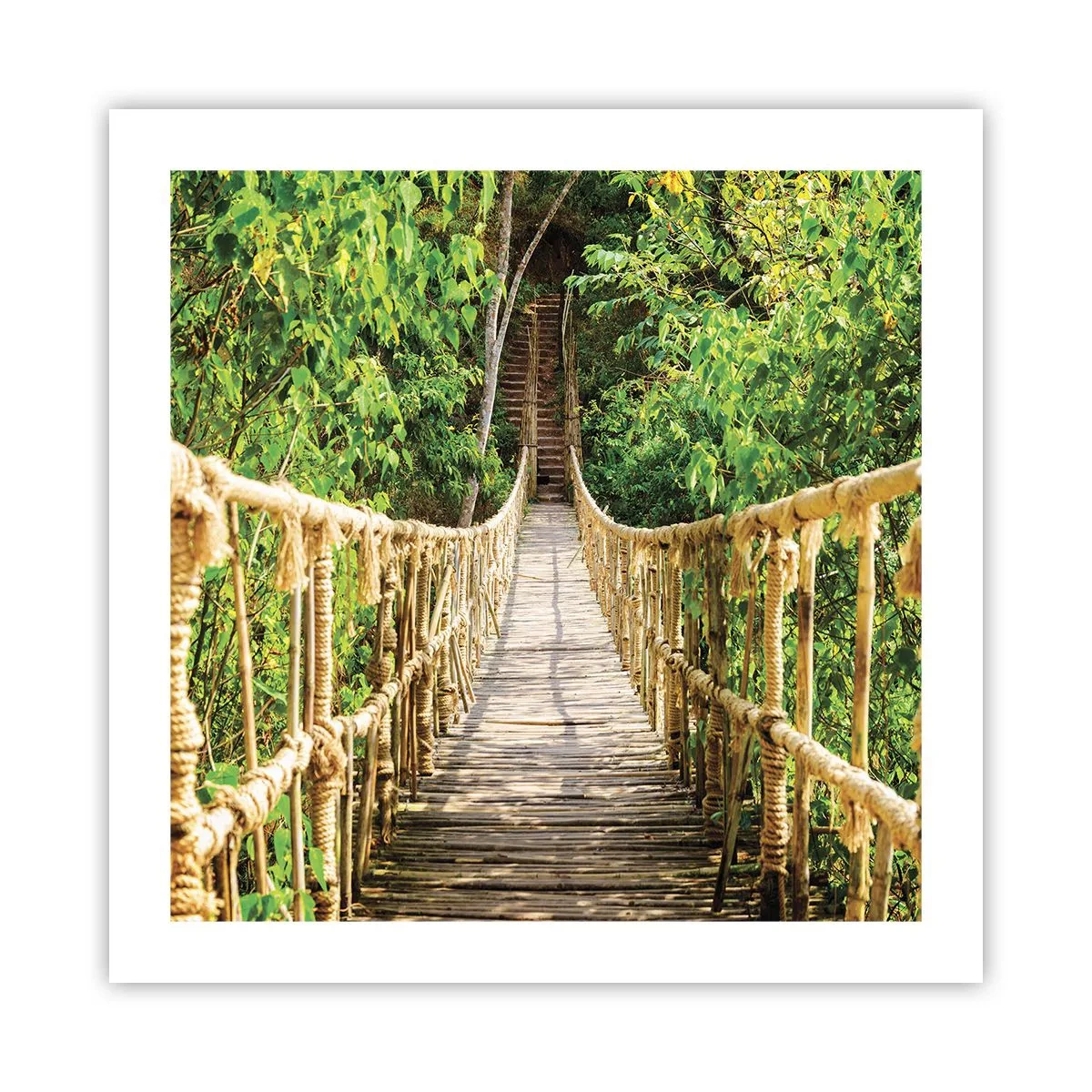 Plakat - Ophængt i grønt - 50x50 cm