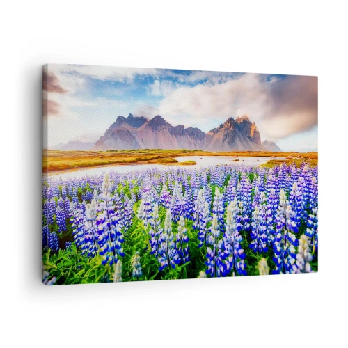 Lærredstryk - Billede på lærred - Blomster i et bjerglandskab med en malerisk himmel - 70x50cm - Styrke og strenghed ved siden af blidhed - Moderne vægdekoration til stue og soveværelse ARTTOR