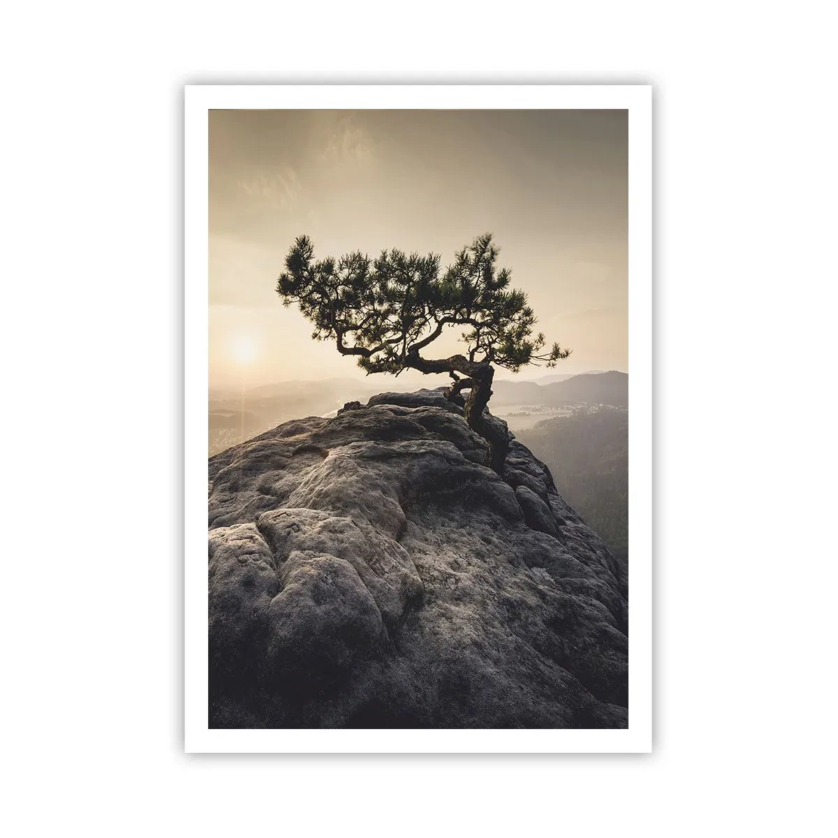 Plakat - Livet vinder altid - 70x100 cm