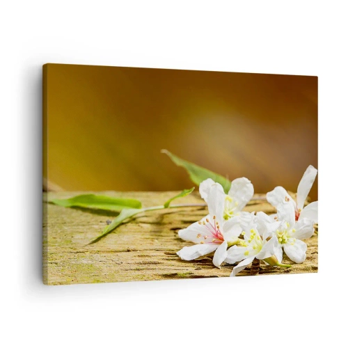 Lærredstryk - Billede på lærred - Hvide blomster på en træbaggrund i naturligt lys - 70x50cm - Et uskyldigt løfte - Moderne vægdekoration til stue og soveværelse ARTTOR