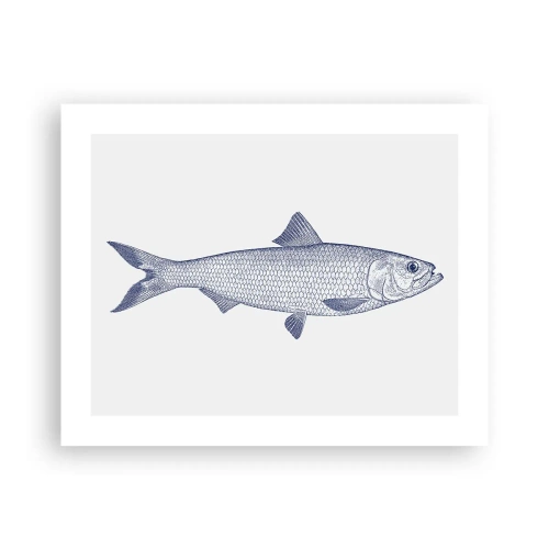 Plakat - Hilsner fra de nordlige have - 50x40 cm