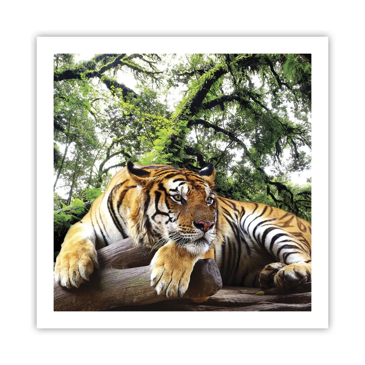 Plakat - Med venlig hilsen - 60x60 cm