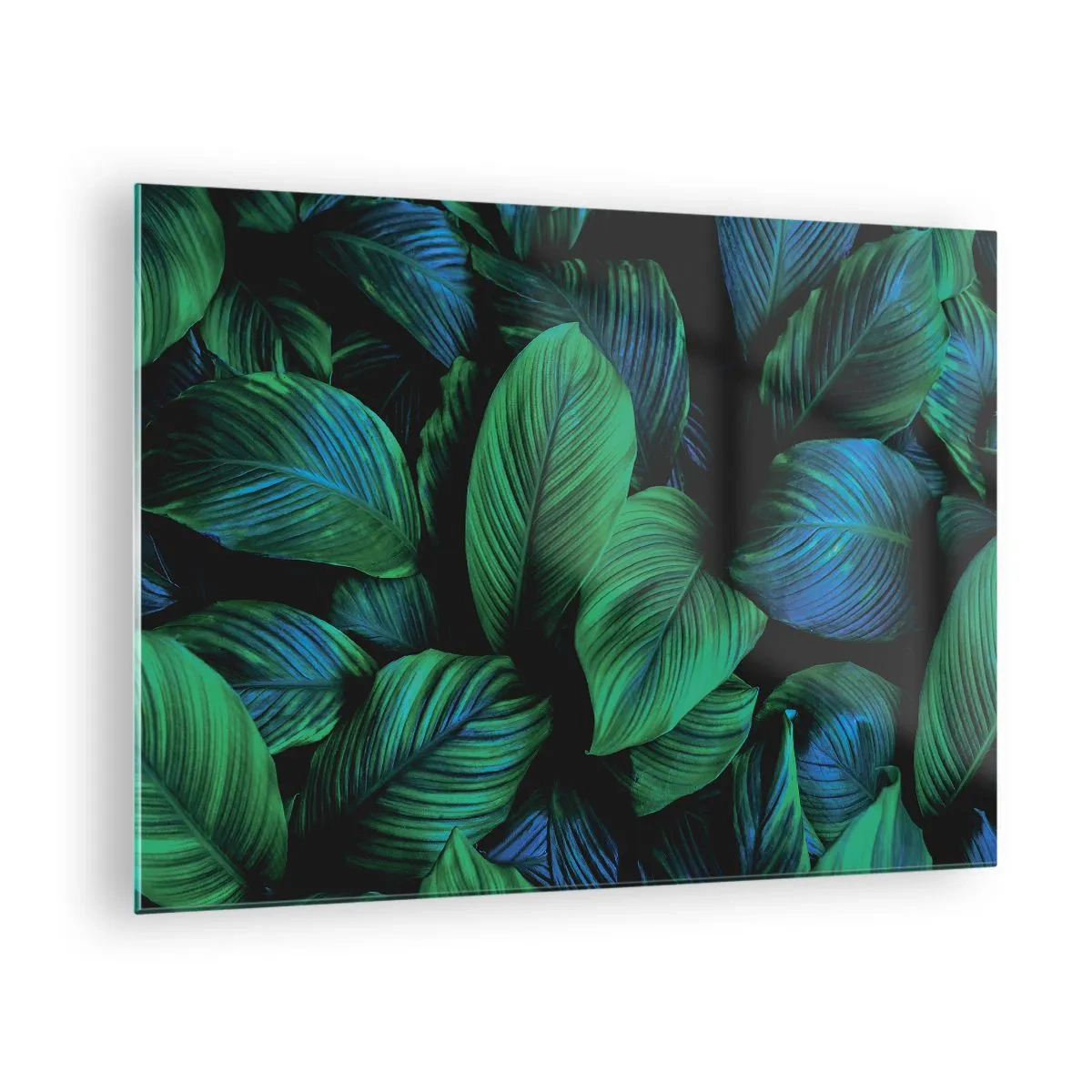 Billede på glas - Nærbillede af blade i intense grønne nuancer - 70x50cm - I den grønne flok - Moderne vægdekoration til stue og soveværelse ARTTOR