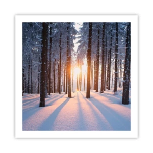 Plakat - Klart i sort og hvidt - 60x60 cm