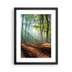 Plakat i sort ramme - Lys og skygger - 30x40 cm