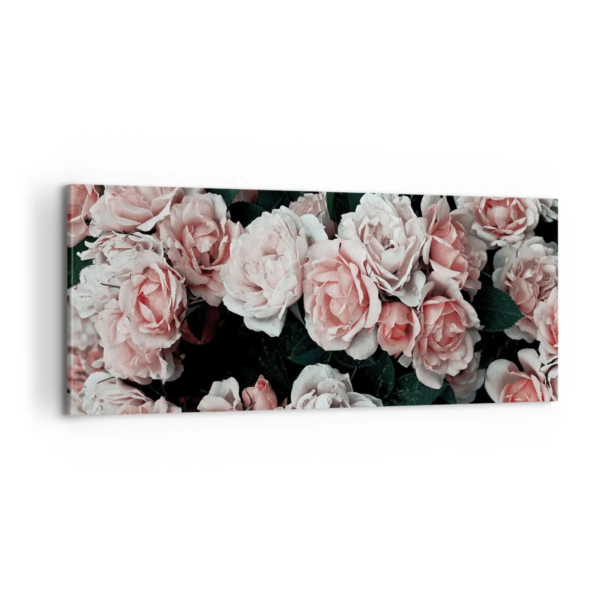 Lærredstryk - Billede på lærred - Lyserød ansamble - 100x40 cm