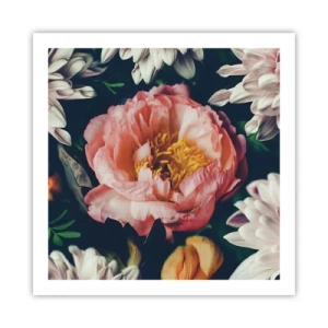 Plakat - Med barok pragt - 60x60 cm