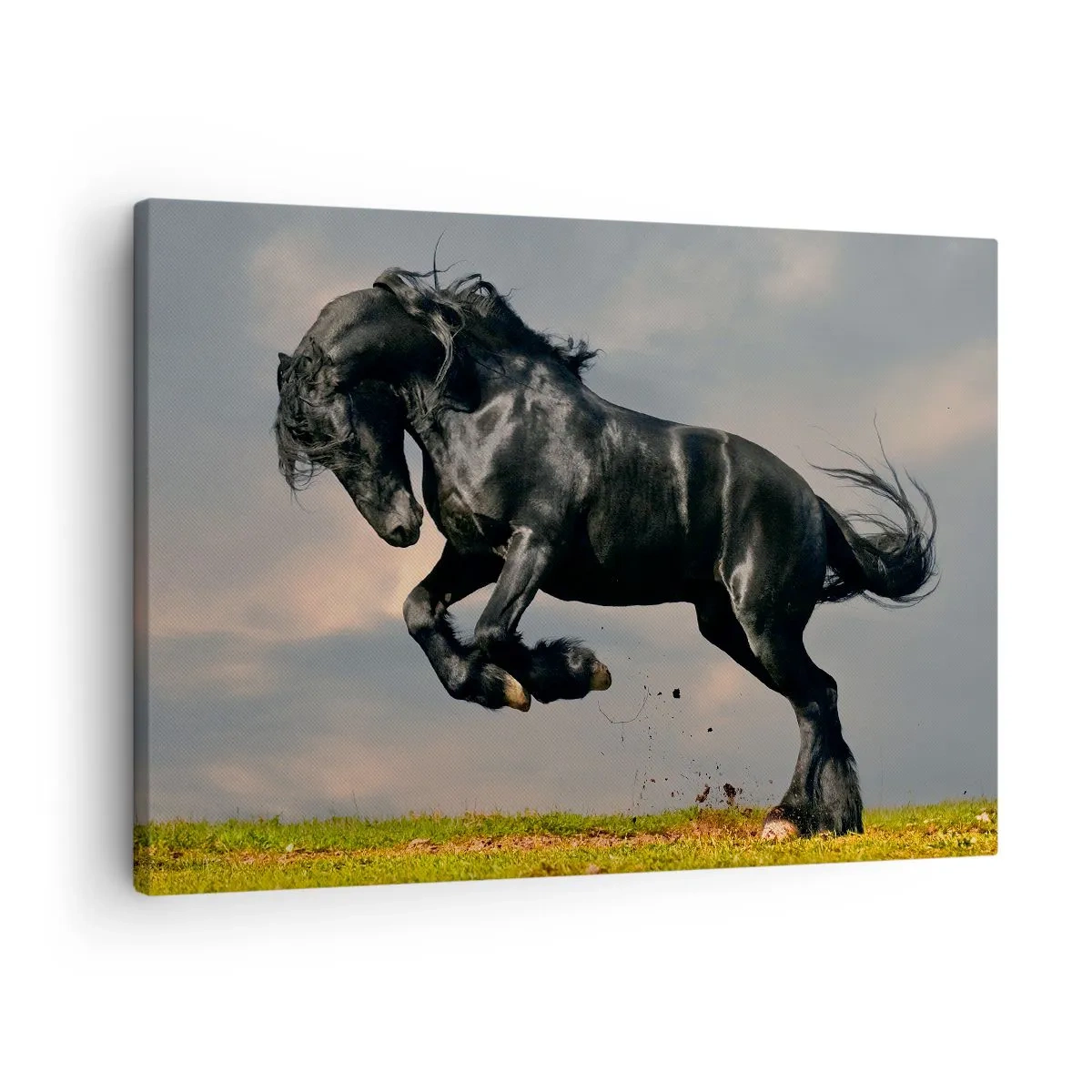 Lærredstryk - Billede på lærred - En mørk hest i et dynamisk spring mod himlen - 70x50cm - Smuk og fri - Moderne vægdekoration til stue og soveværelse ARTTOR