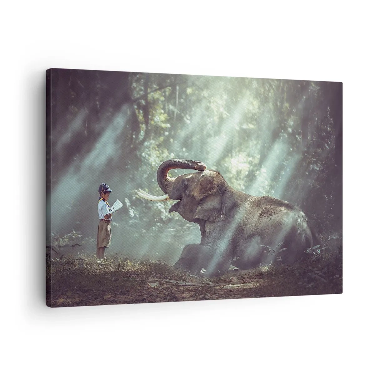 Lærredstryk - Billede på lærred - En dreng og en elefant i en skovomgivelse oplyst af sollys - 70x50cm - Og hør her... - Moderne vægdekoration til stue og soveværelse ARTTOR