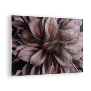 Billede på glas - Et nærbillede af en mørk blomst med lilla og bordeauxrøde kronblade - 70x50cm - Blomstret hjerte - Moderne vægdekoration til stue og soveværelse ARTTOR