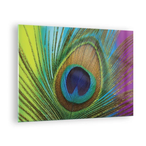 Billede på glas - Et nærbillede af en farverig påfuglefjer - 70x50cm - Øje mod øje - Moderne vægdekoration til stue og soveværelse ARTTOR