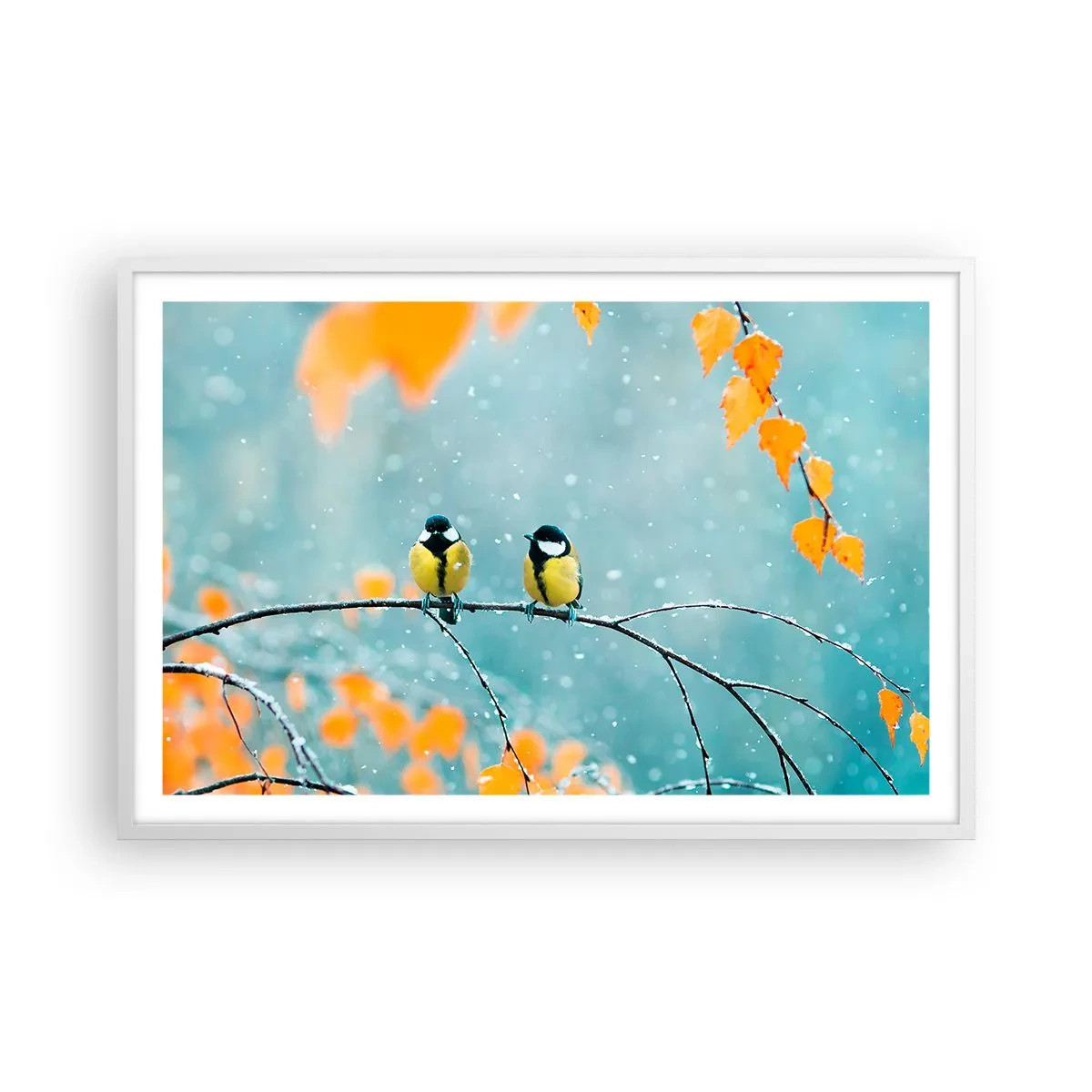 Plakat i hvid ramme - Sladder om fugle - 91x61 cm
