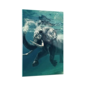 Billede på glas - Alle kan lide at svømme - 70x100 cm