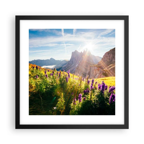 Plakat i sort ramme - Urternes hemmelige liv - 40x40 cm