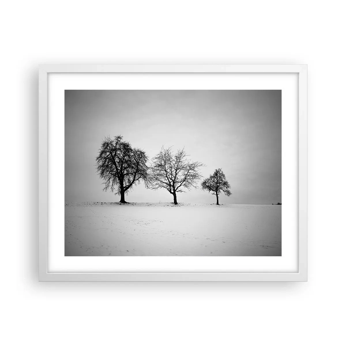 Plakat i hvid ramme - Hvad drømmer de om? - 50x40 cm