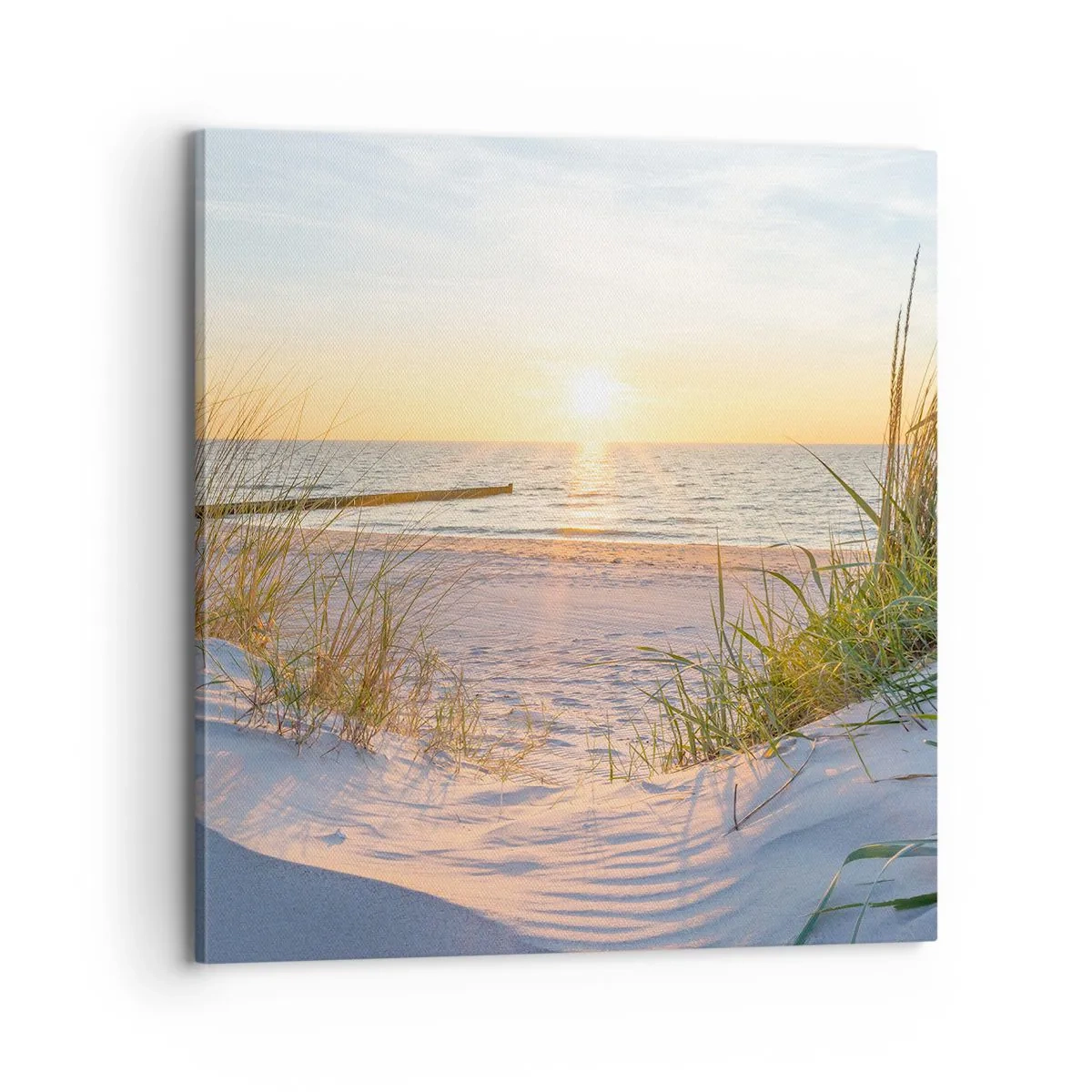 Lærredstryk - Billede på lærred - Havet brummer, fuglene synger, en vild strand midt i græsset.... - 70x70 cm