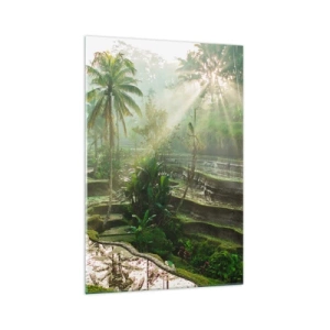 Billede på glas - Voksende op i solen - 70x100 cm