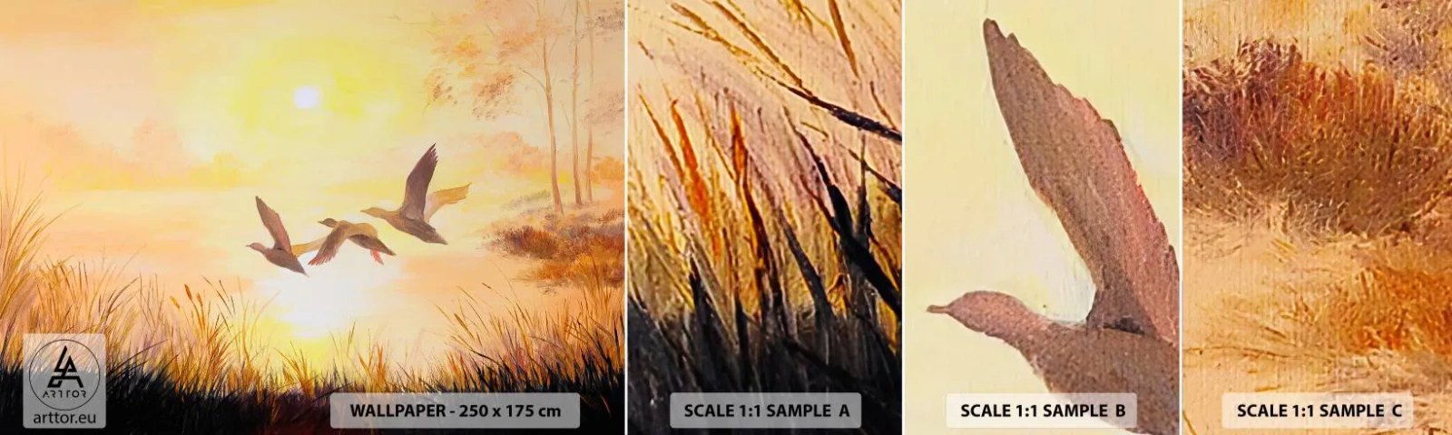 Fototapet Prøve Standard Eco - Starten på en lang rejse - Natur, Vildand, Landskab - 100x30 cm