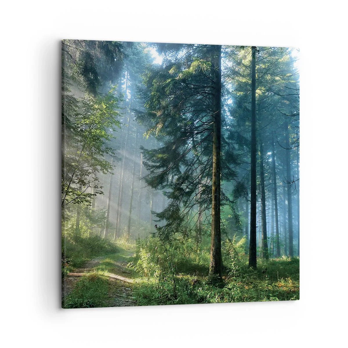 Lærredstryk - Billede på lærred - Strålende om morgenen - 50x50 cm