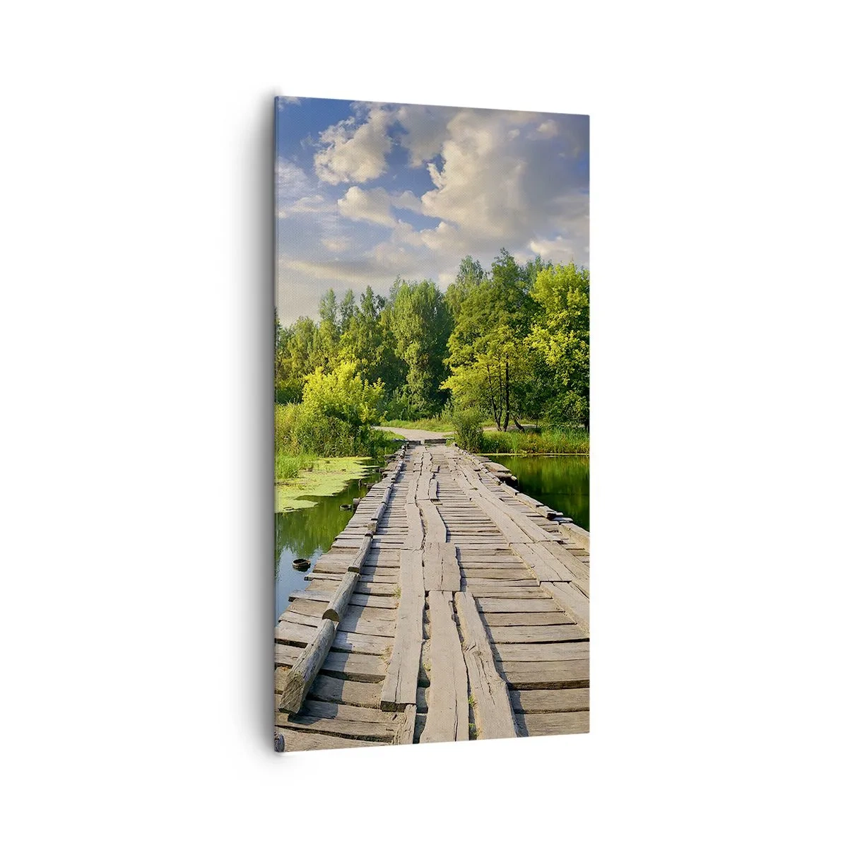 Lærredstryk - Billede på lærred - Sommer, sommer overalt - 65x120 cm