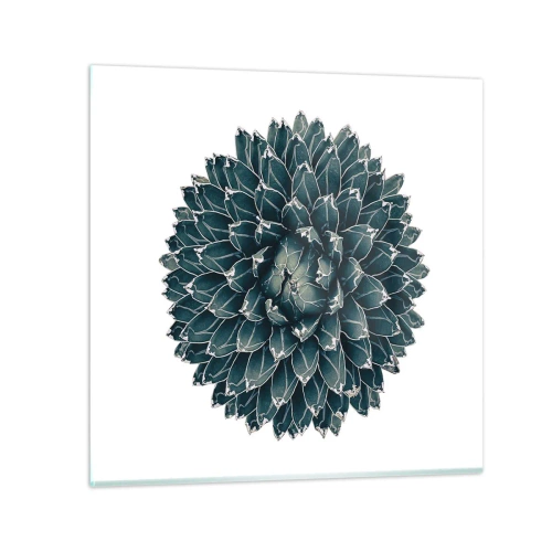 Billede på glas - Ørkenstjerne - 70x70 cm