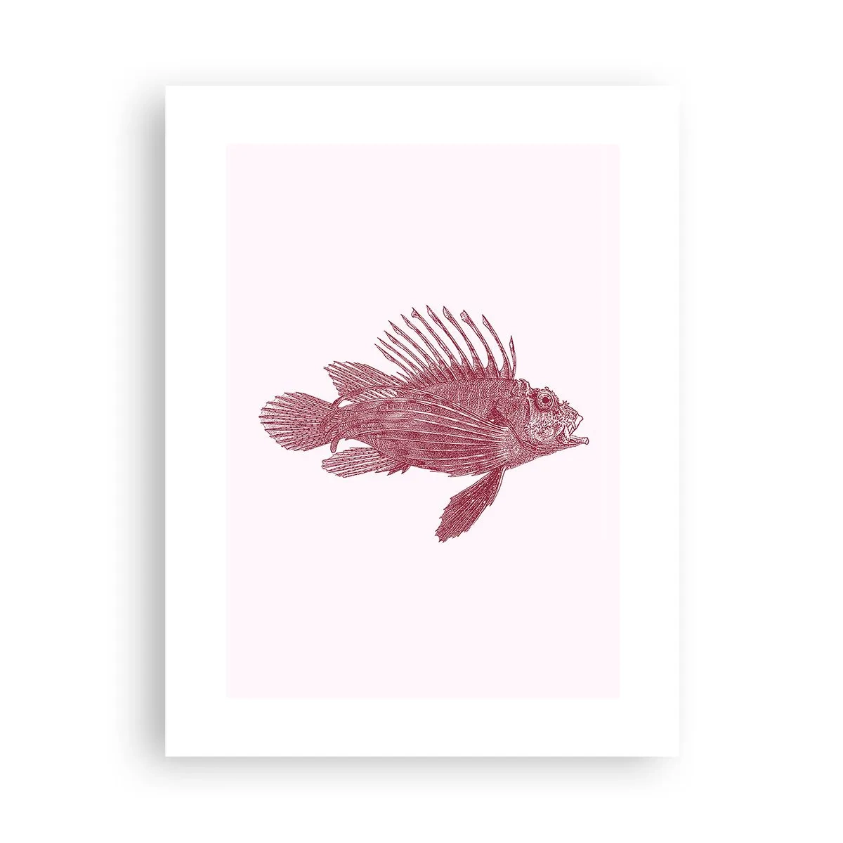 Plakat - En beboer i eksotiske farvande - 30x40 cm