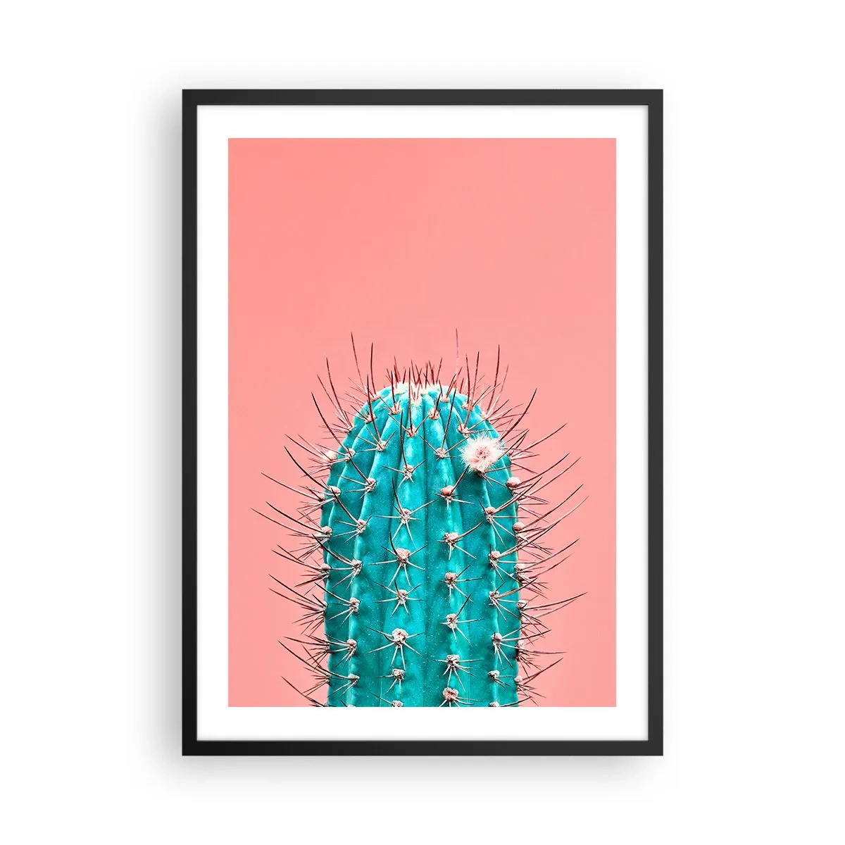 Plakat i sort ramme - Turkis kaktus på en lyserød baggrund - 50x70cm - Bare se - Moderne vægdekoration til stue og soveværelse ARTTOR