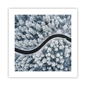 Plakat - Gennem en vinterskov - 40x40 cm