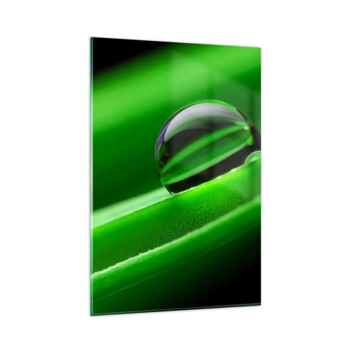 Billede på glas - Livet på tæt hold - 80x120 cm