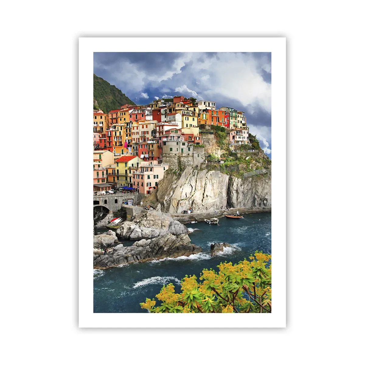 Plakat - En klynge klæber sig til klipperne - 50x70 cm