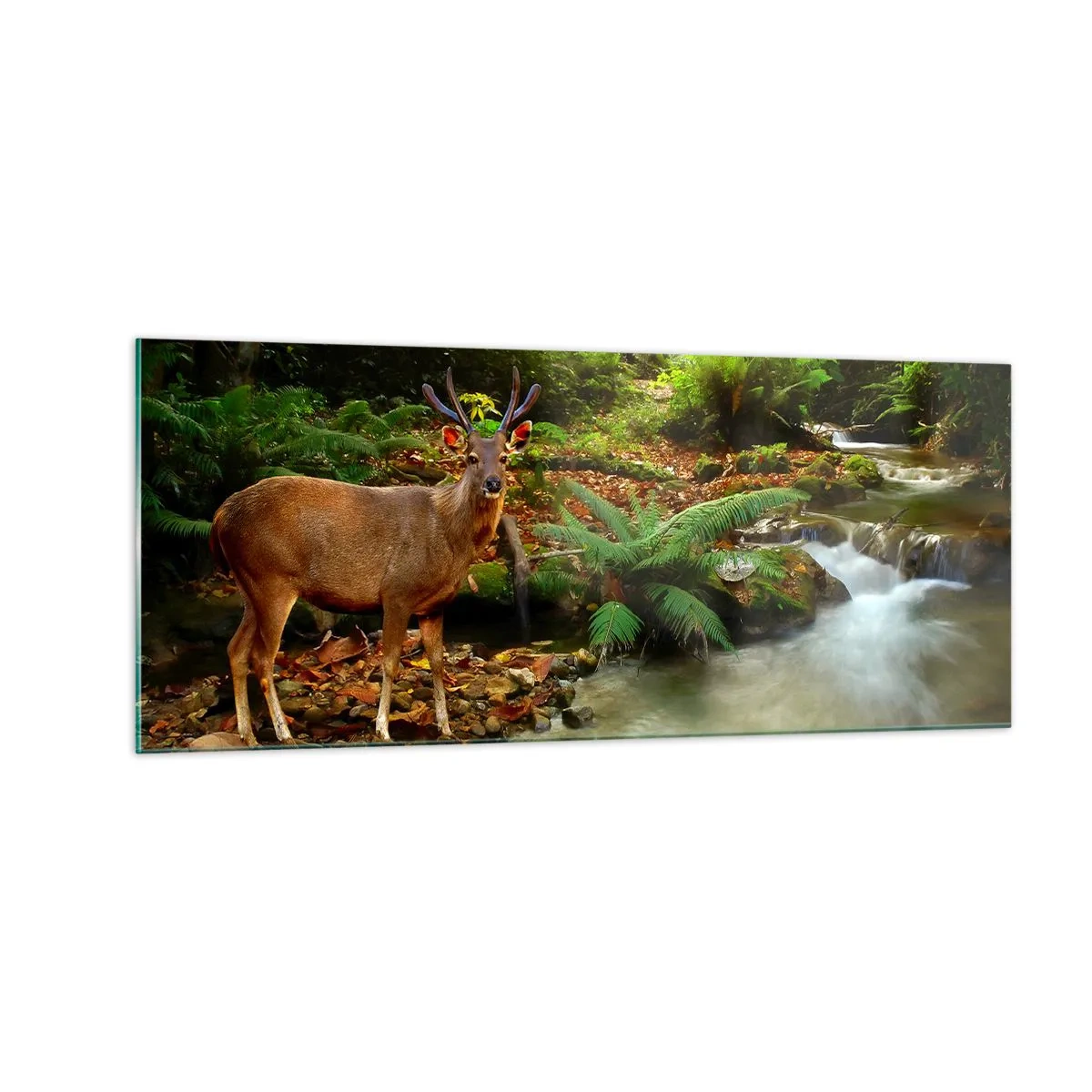 Billede på glas - Velkommen til min verden - 100x40 cm