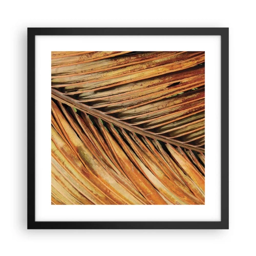 Plakat i sort ramme - Kokosnød guld - 40x40 cm