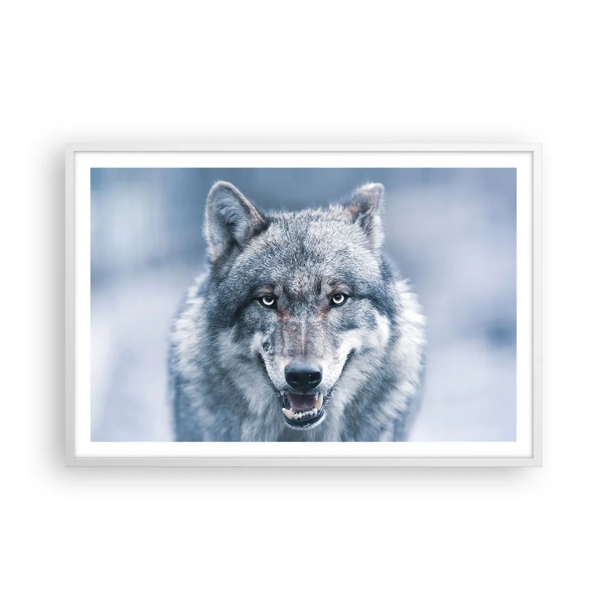 Plakat i hvid ramme - Vil du tage udfordringen op? - 91x61 cm