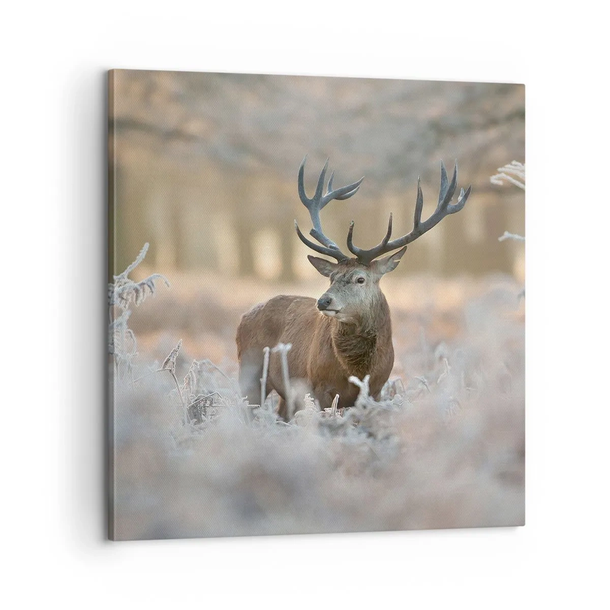 Lærredstryk - Billede på lærred - En frisk morgen - 60x60 cm