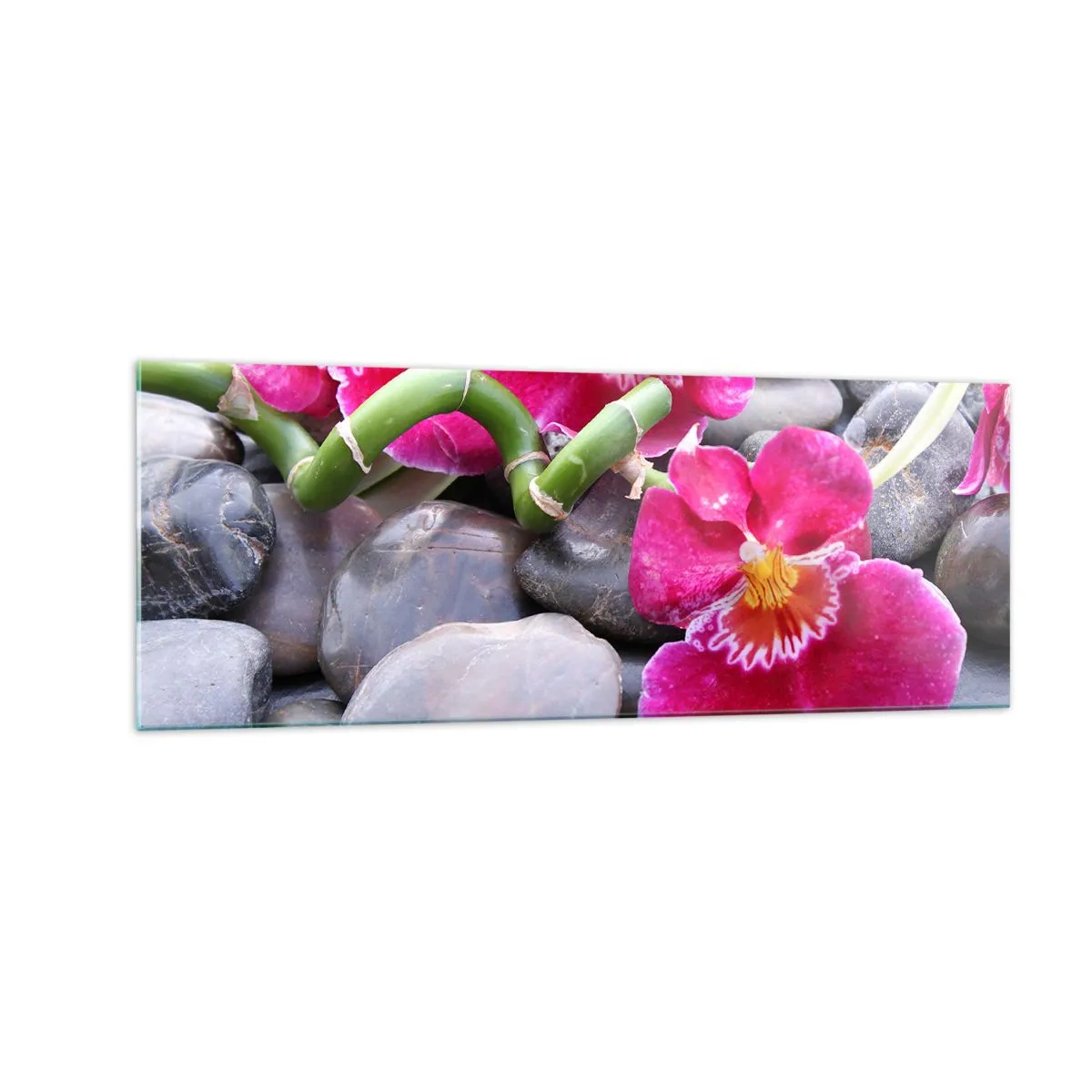 Billede på glas - Kulde og varme - 140x50 cm