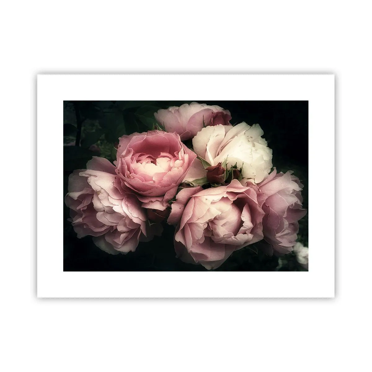 Plakat - Belle epoque charme - 40x30 cm