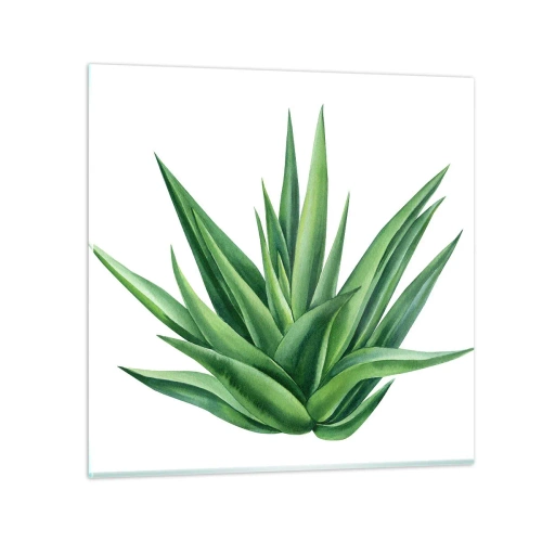 Billede på glas - Grøn - styrke - liv - 30x30 cm
