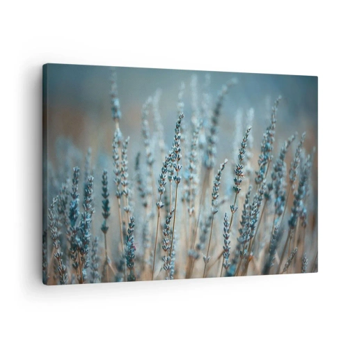 Lærredstryk - Billede på lærred - Lavendel på marken i diskrete pastelfarver - 70x50cm - Duftende plet - Moderne vægdekoration til stue og soveværelse ARTTOR