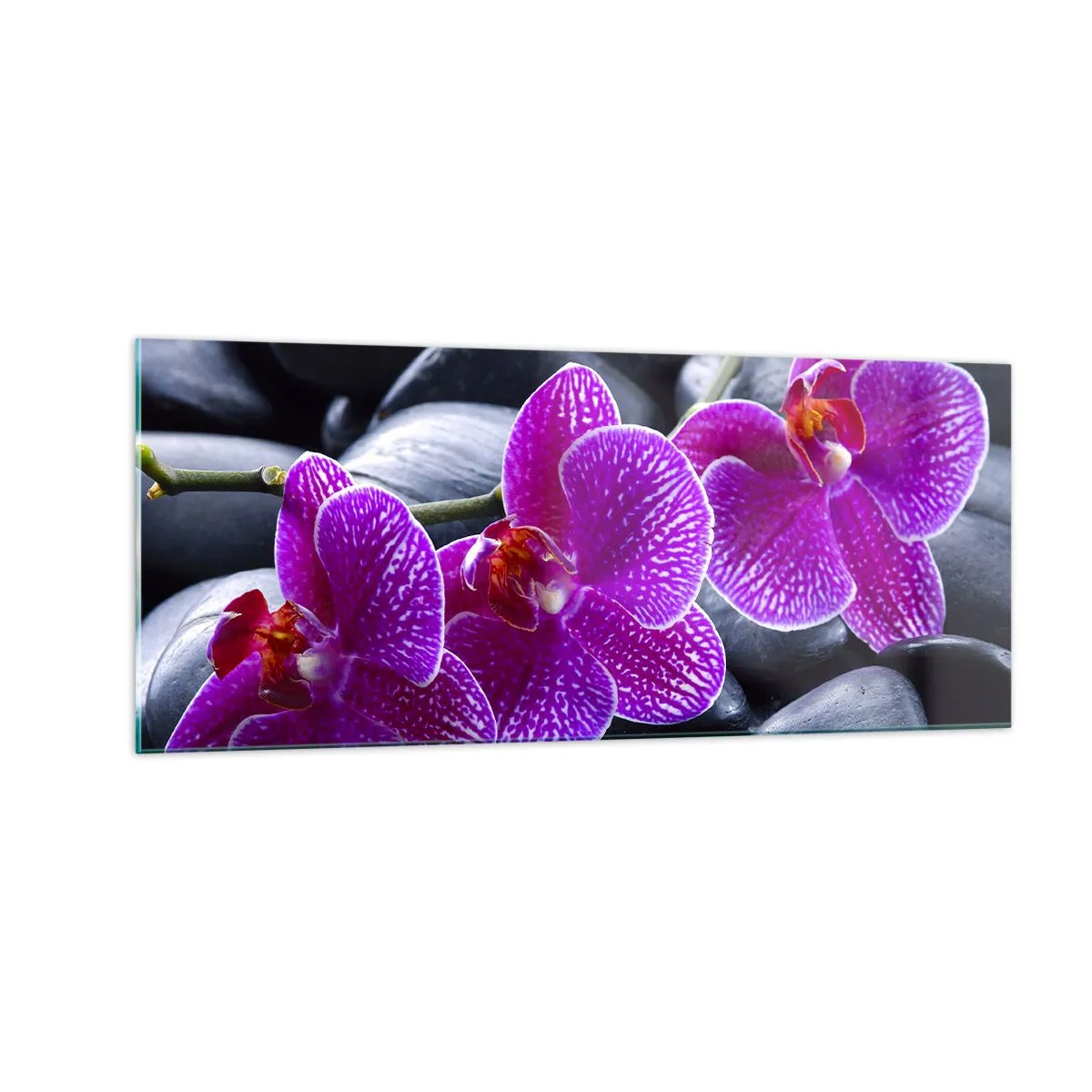 Billede på glas - Stenene lyste op af glæde - 100x40 cm