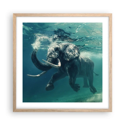 Plakat i ramme af lyst egetræ - Alle kan lide at svømme - 50x50 cm